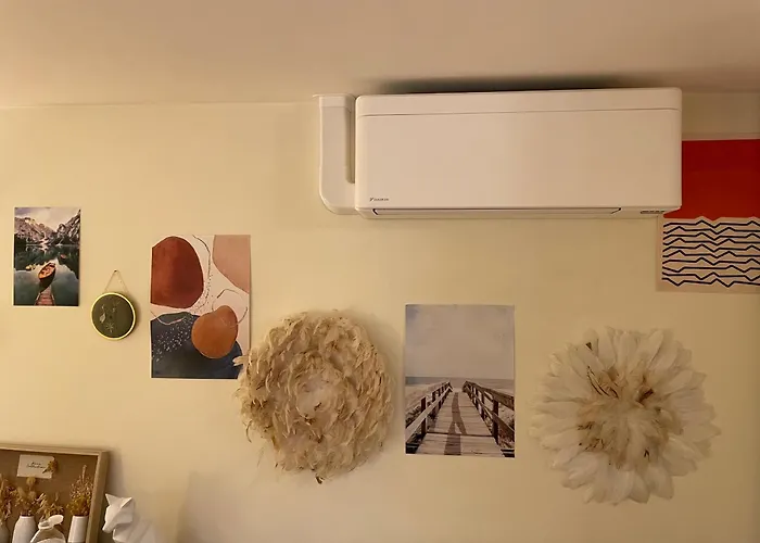 Cosy Potet * Дижон